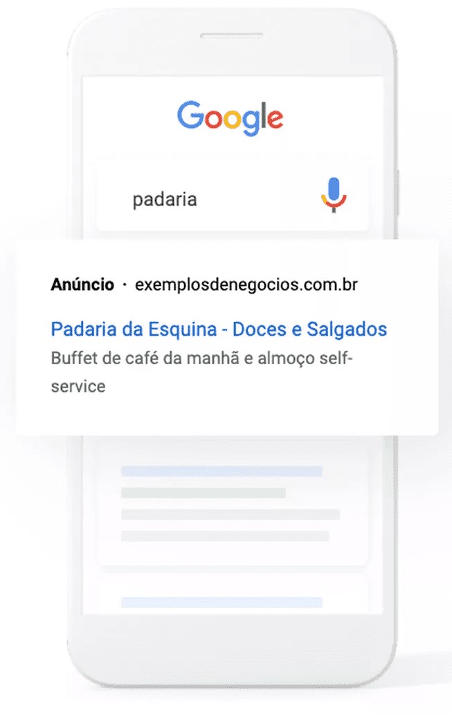 pacote Google Ads Pro